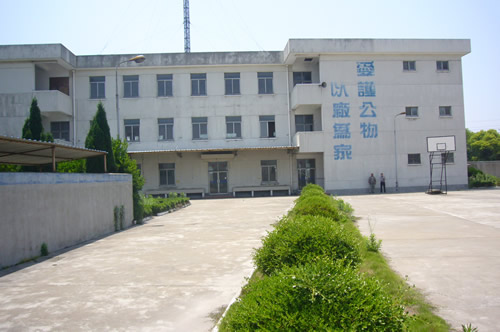 ��������÷��·6500ƽ�����ۺ�¥��Ա������¥���ִ����������