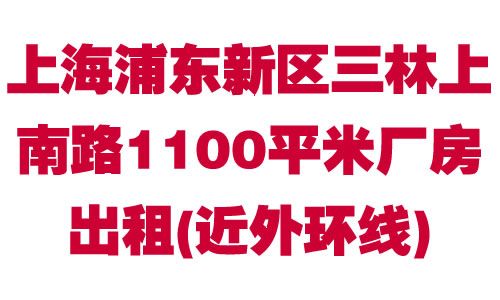 �Ϻ��ֶ�������������·1100ƽ�׳�������(���⻷��)