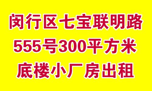 �������߱�����·555��300ƽ���׵�¥С��������