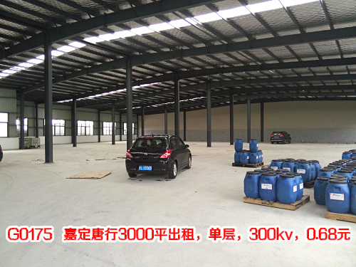 G0175 �ζ�����3000ƽ���⣬���㣬300kv��0.68Ԫ