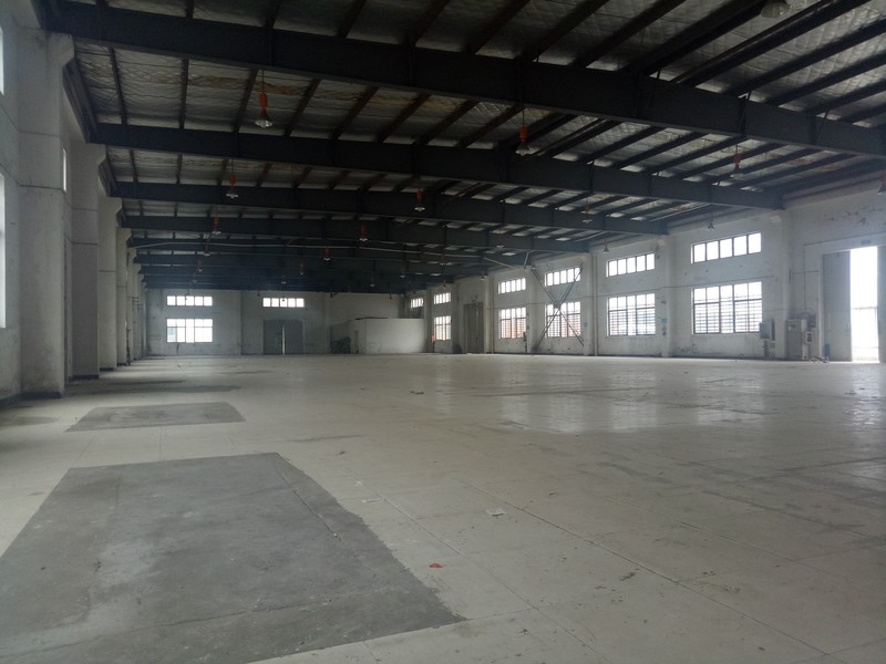 A8401 �Ϻ��ɽ���Ҷ���Ҷ��·��Ҷ��·����ҵ԰���������� 300ƽ��ɷָ���� ����0.65Ԫ