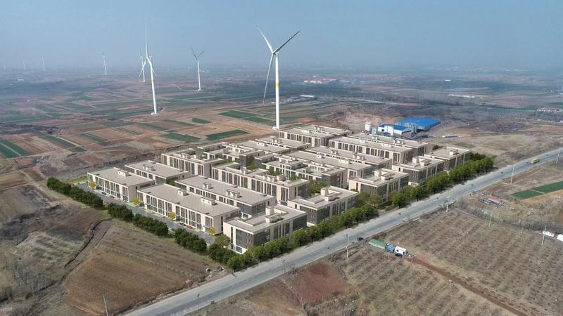 ���ϸ߿� ɽ�� �ൺ ���ݣ��������������Ĳ�ҵ԰��Ŀ ���� ����� �������������������  ����38