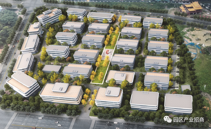 �����ƹȡ����Ͽƴ��ܲ� ���������������Ͻ����׼�������� 2.5��3��3.5���з���������