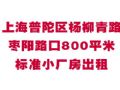 �Ϻ�������������·����·��800ƽ�ױ�׼С��������