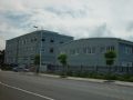 上海市金山区金山卫镇独门独院新建单层三层标准厂房出租
